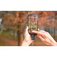 ADATA SC730 512GB SC730-512G-CACTI Image #8