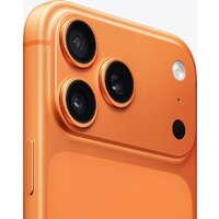 Apple iPhone 17 Pro Max Dual SIM 256GB (космический оранжевый) Image #4