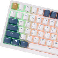 Royal Kludge RK98 RGB Klein Blue (RK Brown) Image #7