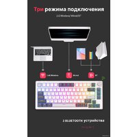 Royal Kludge RK-H81 RGB White Night (RK Brown) Image #13