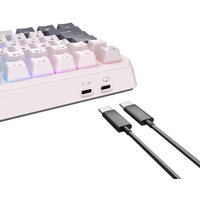 Royal Kludge RK-H81 RGB White Night (RK Brown) Image #5