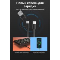 Royal Kludge RK-H81 RGB White Night (RK Cyan) Image #10