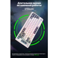 Royal Kludge RK-H81 RGB White Night (RK Cyan) Image #15