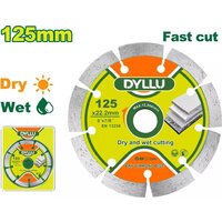 Dyllu DTDC1K03