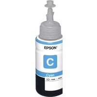 Epson C13T673298