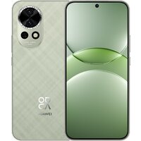 Huawei nova 13 BLK-LX9 12GB/512GB (дымчатый зеленый) Image #1