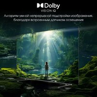 Digma Pro OLED 55M Image #14