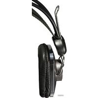 SVEN AP-600 Image #2