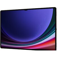 Samsung Galaxy Tab S9 Ultra Wi-Fi SM-X910 16GB/1TB (кремовый) Image #15