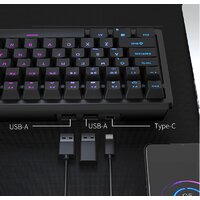 Royal Kludge RK98 RGB (черный, RK Red) Image #3