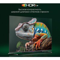 Digma Pro QLED 55L Image #8