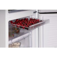 Nord (Nordfrost) NRB 162NF W Image #11