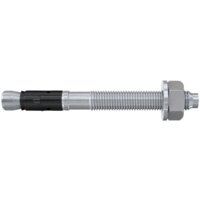 Fischer FAZ II Plus 10/160 ZP 564585 (20 шт)