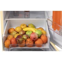 Nord (Nordfrost) NRB 164NF E Image #12