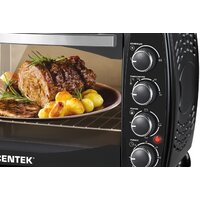 CENTEK CT-1531-42 Convection Image #2