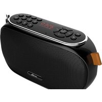 Ritmix RPR-008