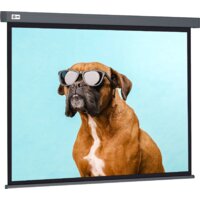 CACTUS Wallscreen 149x265 CS-PSW-149X265-SG