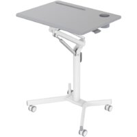 CACTUS CS-FDS101WGY