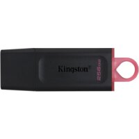 Kingston Exodia 256GB Image #1