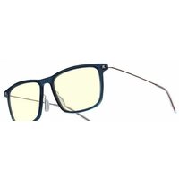 Xiaomi Anti-Blue Goggles Pro HMJ02TS (темно-синий)