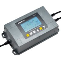 Беркут BCA-10