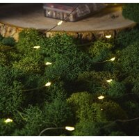 Neon-Night Роса с контроллером 100 м 303-296 (теплый белый) Image #6