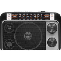Ritmix RPR-171
