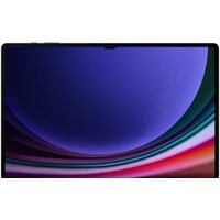 Samsung Galaxy Tab S9 Ultra 5G SM-X916 12GB/256GB (графитовый) Image #2