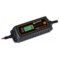 Daewoo Power DW 450