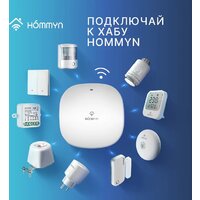 Hommyn zigbee 2 канала RLZBN02 (с нейтралью) Image #10