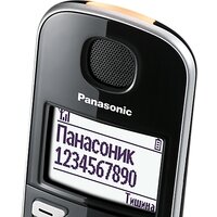 Panasonic KX-TGE510RUS Image #7