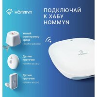 Hommyn WZB400W Image #13