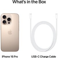 Apple iPhone 16 Pro Dual eSim 256GB (пустынный титан) Image #7