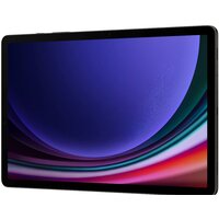 Samsung Galaxy Tab S9 5G SM-X716 12GB/256GB (графитовый) Image #7