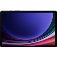 Samsung Galaxy Tab S9 5G SM-X716 12GB/256GB (графитовый) Image #2