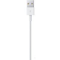 Apple USB 2.0 Type-A - Lightning (1 м, белый) Image #4