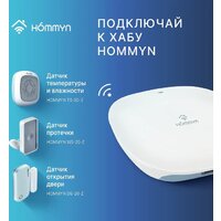 Hommyn DS-20-Z Image #10