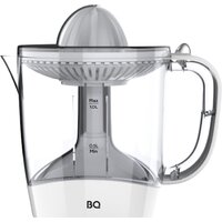 BQ J1731