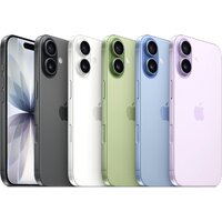 Apple iPhone 17 Dual SIM 256GB (черный) Image #5