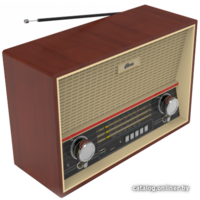 Ritmix RPR-102 (бук)