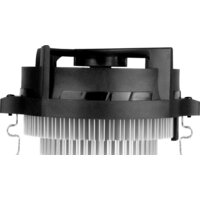 Arctic Alpine 23 ACALP00035A Image #5