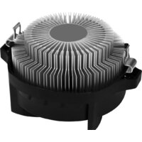 Arctic Alpine 23 ACALP00035A Image #3