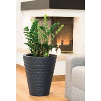 Form-Plastic Diament 40 Antracyt 2920-014 Image #2