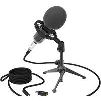 Ritmix RDM-160