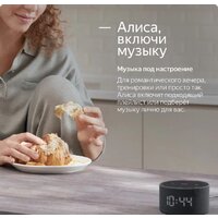 Яндекс Станция Мини 2 с часами (черный оникс) Image #22