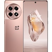 OnePlus Ace 3 12GB/256GB китайская версия (бронзовый)