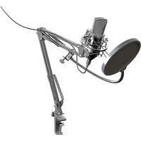 Ritmix RDM-169