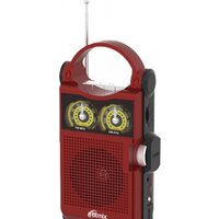 Ritmix RPR-303
