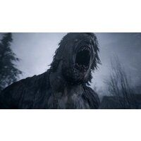 Resident Evil Village. Gold Edition для PlayStation 5 Image #5